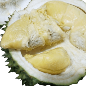 DURIAN KAMPUNG PREMIUM DECEMBER
