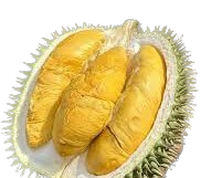 DURIAN KLON DECEMBER