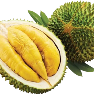GRED A MUSANG KING DECEMBER